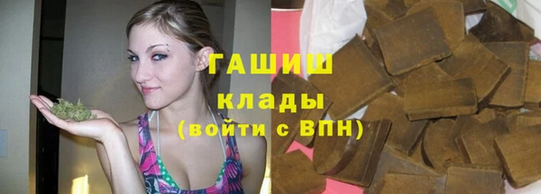 индика Переславль-Залесский