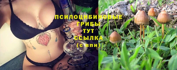 индика Переславль-Залесский