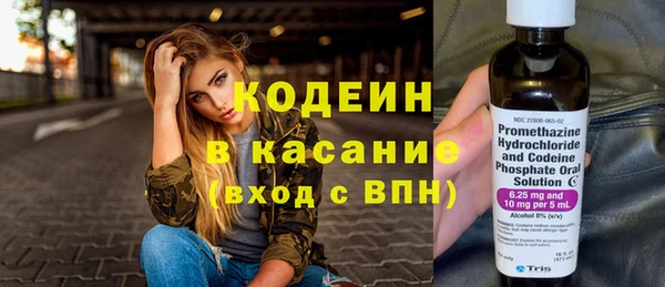 индика Переславль-Залесский
