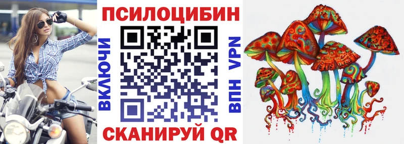 Псилоцибиновые грибы Cubensis  mega зеркало  Порхов 