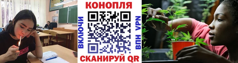 МАРИХУАНА план  купить наркоту  MEGA ссылка  Порхов 